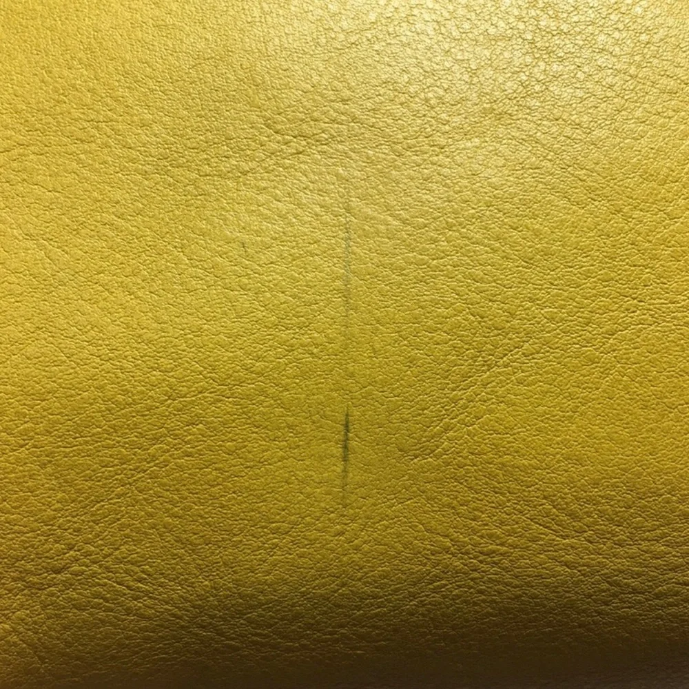 Dooney & Bourke Florentine Sunflower Satchel - Picture 12 of 12